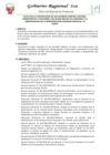 Vista preliminar de documento BASES AUDITORIA IPA EL CHACO
