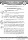 Vista preliminar de documento RGM-319-2024
