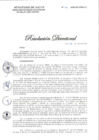 Vista preliminar de documento RD N°141-2020-DG-DIRIS-LC