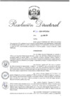 Vista preliminar de documento RD 102-2024-INPE-OGA
