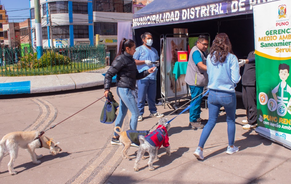 Más de 300 mascotas fueron desparasitados en jornada gratuita en Puno