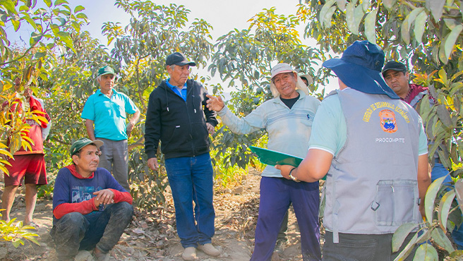 Comisión del Comité Evaluador visitó in situ a los establecimientos, o espacios donde los Agentes Económicos Organizados – AEO