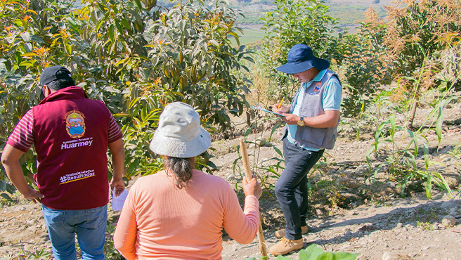Comisión del Comité Evaluador visitó in situ a los establecimientos, o espacios donde los Agentes Económicos Organizados – AEO