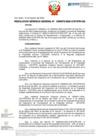 Vista preliminar de documento RGG Nº D000073-2024-GG