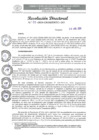 Vista preliminar de documento RD-088-2024-GRSM-DRTC-SM-DO