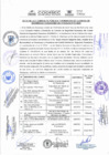 Vista preliminar de documento II Consulta Publica y Rendicion de Cuentas de Seguridad Ciudadana 2024