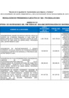 Vista preliminar de documento Anexo 1