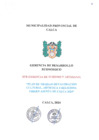 Vista preliminar de documento PLAN DE TRABAJO REVALORACION CULTURAL, ARTISTICA Y RELIGIOSA VIRGEN ASUNTA DE CALCA 2024
