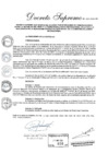 Vista preliminar de documento Decreto Supremo N° 020-2024-RE