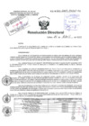Vista preliminar de documento Resolucion Directoral Hospital Nacional Daniel Alcides Carrion
