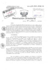 Vista preliminar de documento Resolucion Directoral Hospital Nacional Daniel Alcides Carrion 