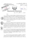 Vista preliminar de documento Resolucion Directoral Hospital Nacional Daniel Alcides Carrion