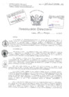 Vista preliminar de documento Resolucion Directoral Hospital Nacional Daniel Alcides Carrion