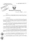 Vista preliminar de documento Resolucion Directoral Hospital Nacional Daniel Alcides Carrion