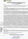 Vista preliminar de documento rgspl24162