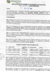 Vista preliminar de documento rgspl24266
