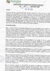 Vista preliminar de documento rgspl24272