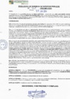 Vista preliminar de documento rgspl24261