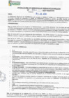 Vista preliminar de documento rgspl24276