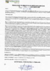 Vista preliminar de documento rgspl24285