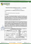 Vista preliminar de documento rgspl24284