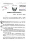 Vista preliminar de documento Resolucion Directoral Hospital Nacional Daniel Alcides Carrion