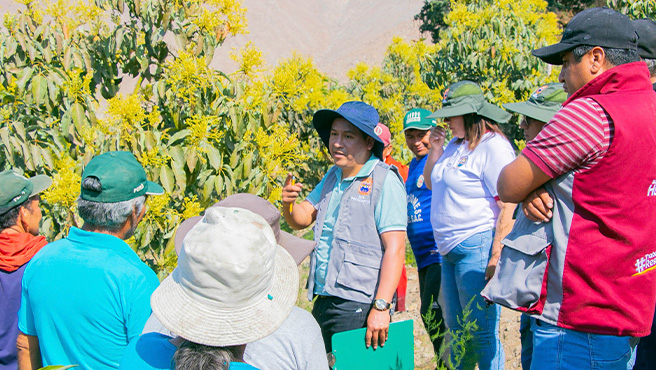 Municipalidad realizo proceso de evaluación del AEO del distrito de Malvas , PRO COMPITE 2024 - I HUARMEY