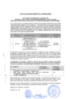 Vista preliminar de documento Proceso de Selección N° 003-2023-CE-OXI-GORE.ICA - SEGUNDA CONVOCATORIA- ACTA DE ADJUDICACION DE BUENA PRO
