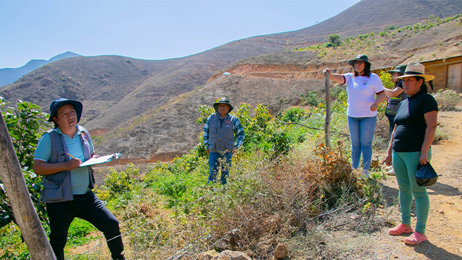 Comisión del comité Evaluador visitó in situ a los establecimientos, o espacios donde los Agentes Económicos Organizados – AEO en Cochapeti