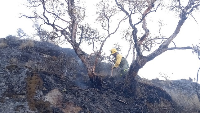 incendio forestal huascaran