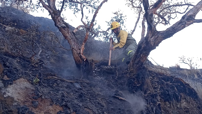 incendio forestal huascaran