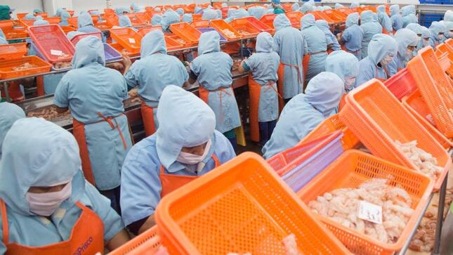 Perú cumple con requisitos para exportar productos de la acuicultura a la Unión Europea