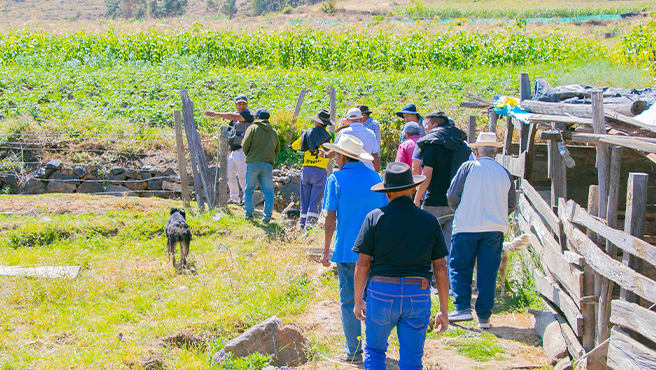 Comisión del comité Evaluador visitó in situ a los establecimientos, o espacios donde los Agentes Económicos Organizados – AEO - Huayan