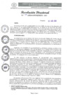 Vista preliminar de documento RD-099-2024-GRSM-DRTC-SM-DO
