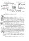 Vista preliminar de documento Resolucion Directoral Hospital Nacional Daniel Alcides Carrion