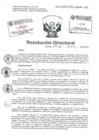 Vista preliminar de documento Resolucion Directoral Hospital Nacional Daniel Alcides Carrion