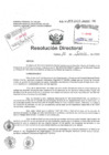 Vista preliminar de documento Resolucion Directoral Hospital Nacional Daniel Alcides Carrion