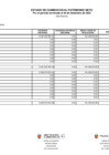 Vista preliminar de documento EF 3 Estado de Cambio en el Patrimonio Neto al tercer trimestre