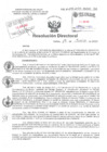 Vista preliminar de documento Resolucion Ministerial Hospital Nacional Daniel Alcides Carrion