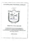 Vista preliminar de documento DI-001-2024-MPI