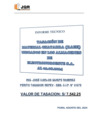 Vista preliminar de documento Informe final RAEE al 02-08-2024 (1)