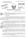 Vista preliminar de documento Resolucion Directoral Hospital Nacional HNDAC