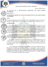 Vista preliminar de documento ORDENANZA MUNICIPAL N° 015-2024-MPCFF