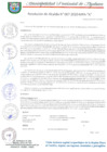 Vista preliminar de documento RESOLUCION DE ALCALDIA 067-2020-MPA-A