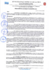 Vista preliminar de documento RESOLUCION DE ALCALDIA 041
