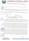 Vista preliminar de documento RESOLUCION DE ALCALDIA 077-2020-MPA-A