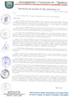 Vista preliminar de documento RESOLUCION DE ALCALDIA 082-2020-MPA-A