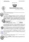 Vista preliminar de documento R.D N° 225-2024-HMA-DG