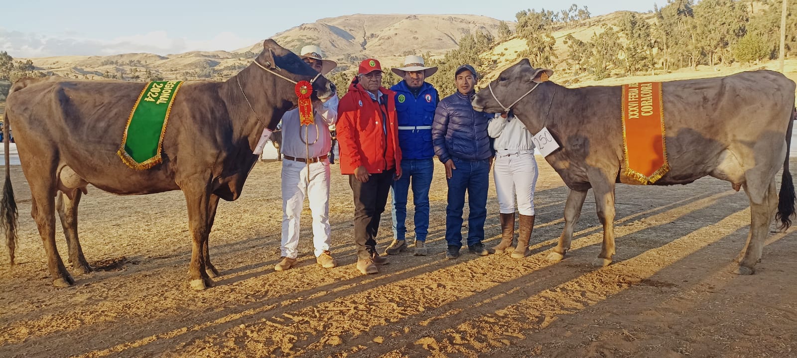 DRA Ayacucho promueve mejoramiento genético en feria de Coracora