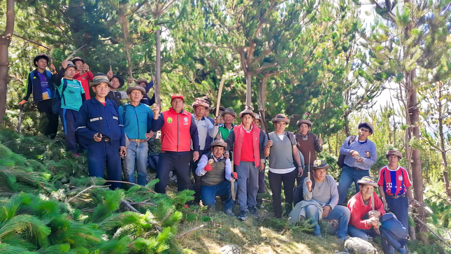 DRA Ayacucho monitorea 450 mil especies forestales instalados en Fajardo
